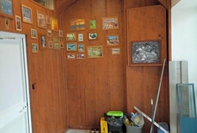 Foto 6