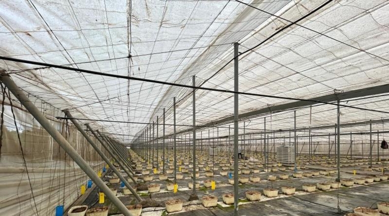Granada - Motril - 10277m2