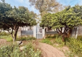Detached villa with land for sale on España, Campo-Mijas, ref: TR405880 photo