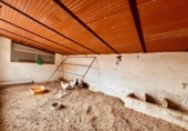Detached villa with land for sale on España, Campo-Mijas, ref: TR405880 photo