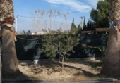Casa de camp amb terreny en venda a la España, la Ràpita, ref.: TR153892 foto