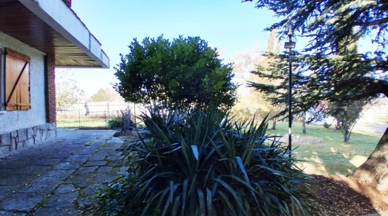Salamanca - Santa Marta de Tormes - 6113m2