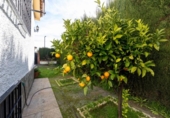Chalet independiente con terreno en venta en la España, Villa de Otura, ref: TR406277 foto