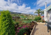 Casa de campo con terreno en venta en la España, La Rambla, ref: TR243628 foto