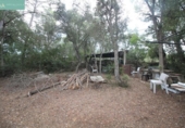 Detached villa with land for sale on España, Sineu, ref: TR148986 photo