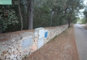 Detached villa with land for sale on España, Sineu, ref: TR148986 photo
