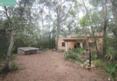 Detached villa with land for sale on España, Sineu, ref: TR148986 photo