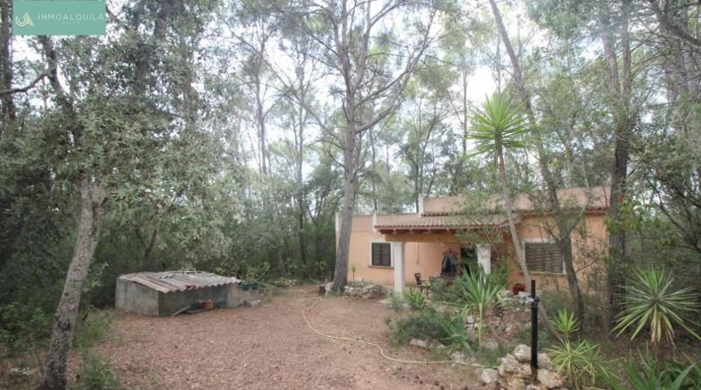 Islas Baleares - Sineu - 5632m2