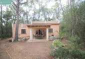 Detached villa with land for sale on España, Sineu, ref: TR148986 photo