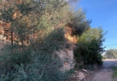 Parcela urbanizable en venta en la España, Selva, ref: TR128429 foto