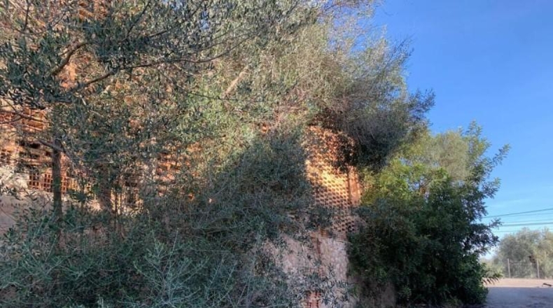 Islas Baleares - Selva - 2819m2