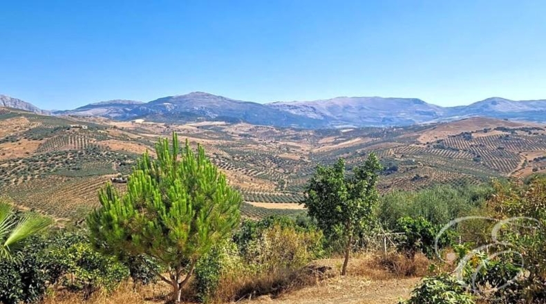 Málaga - Comares - 55000m2