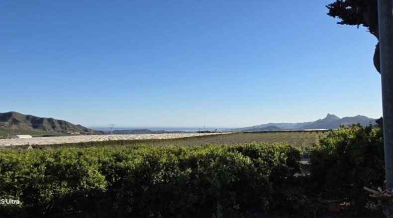 Murcia - Águilas - 20000m2
