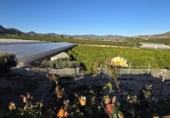 Country house with land for sale on España, Águilas, ref: TR400432 photo