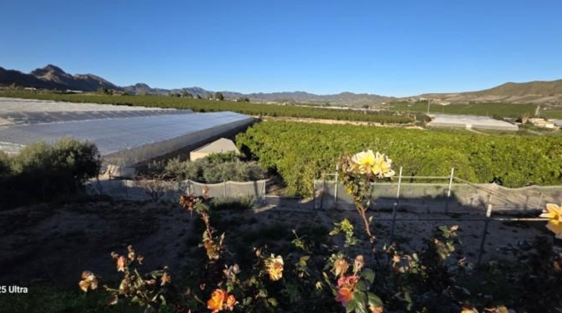 Murcia - Águilas - 20000m2