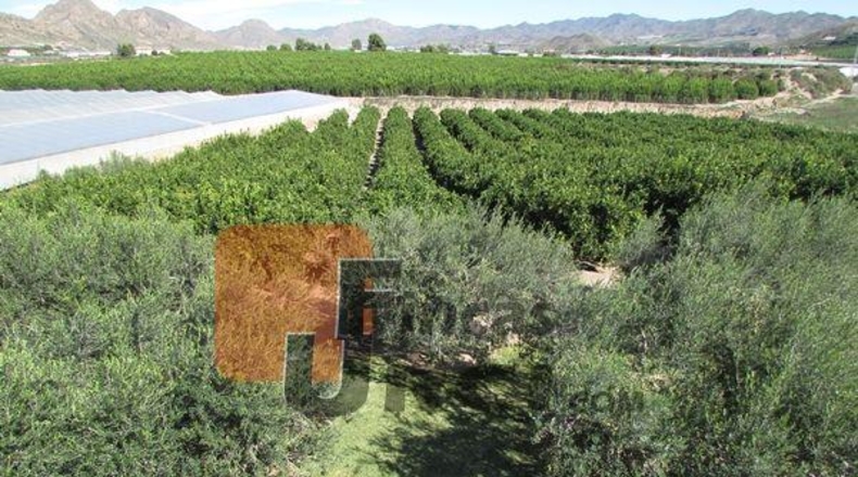 Murcia - Águilas - 20000m2