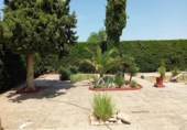 Detached villa with land for sale on España, Pozuelo de Calatrava, ref: TR312373 photo