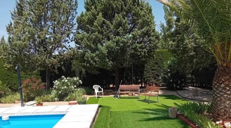 Ciudad Real - Pozuelo de Calatrava - 10000m2