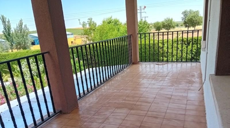 Ciudad Real - Pozuelo de Calatrava - 10000m2