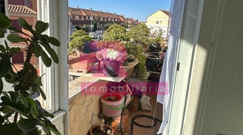 Salamanca - Cabrerizos - 286m2