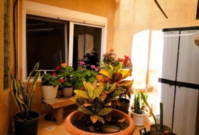 Foto 7