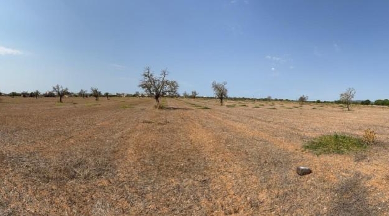 Islas Baleares - Кампос - 25641m2