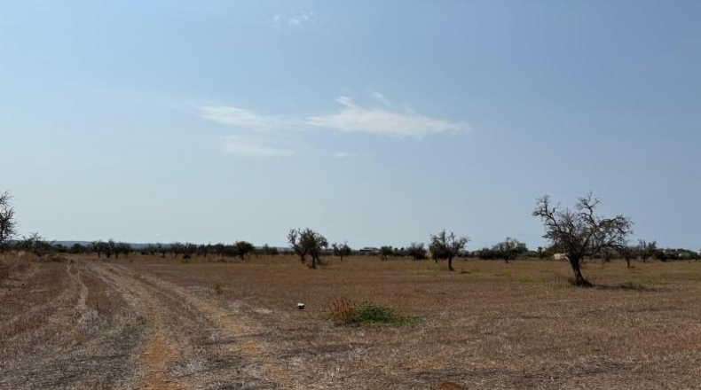 Islas Baleares - Кампос - 25641m2