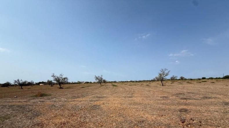Islas Baleares - Кампос - 25641m2