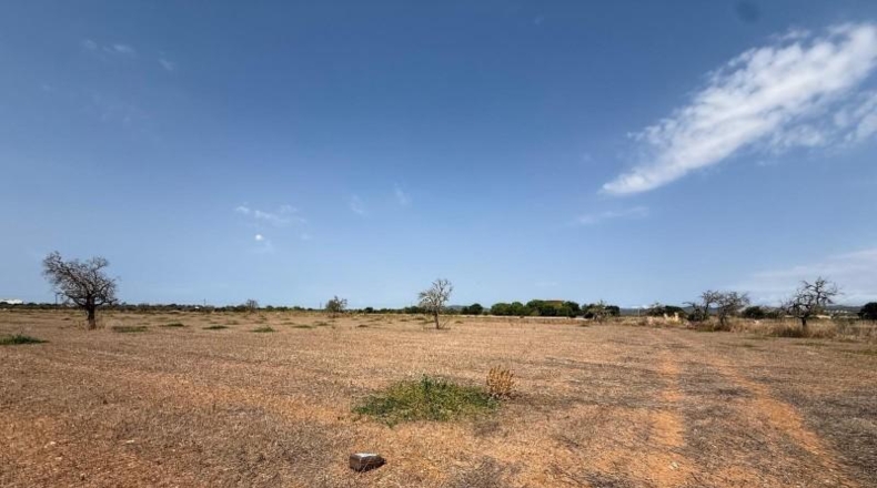 Islas Baleares - Кампос - 25641m2