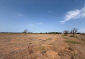 Parcela urbanizable en venta en la España, Campos, ref: TR330142 foto