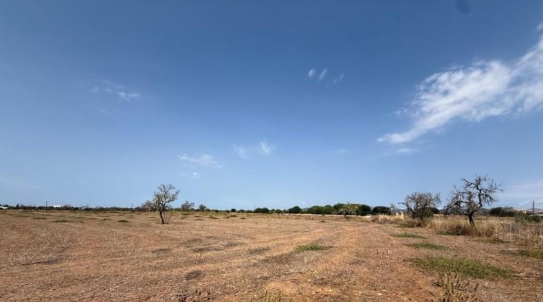 Islas Baleares - Кампос - 25641m2
