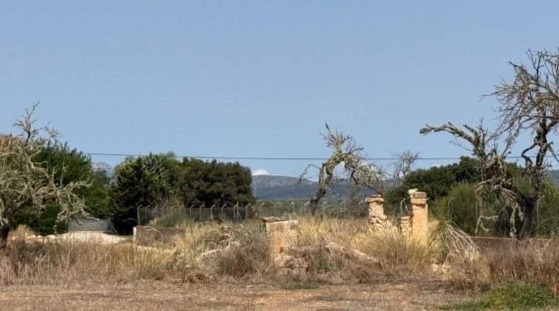 Islas Baleares - Кампос - 25641m2