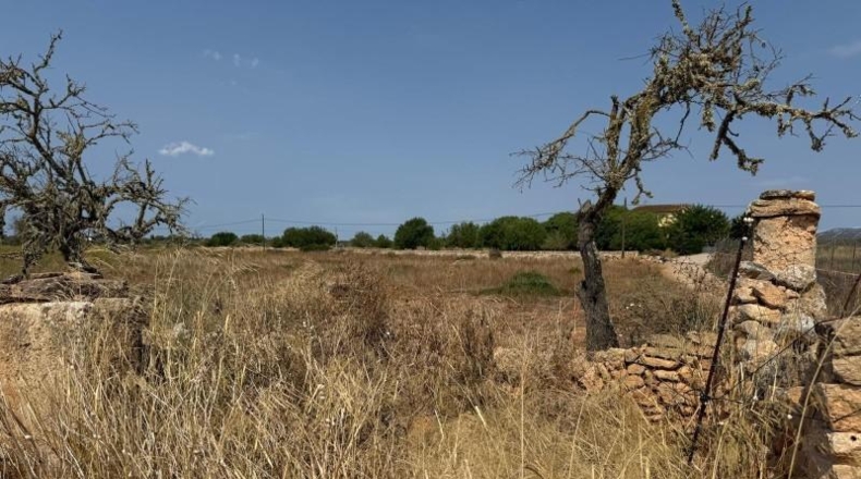 Islas Baleares - Кампос - 25641m2