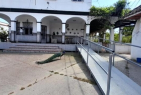 Foto 12