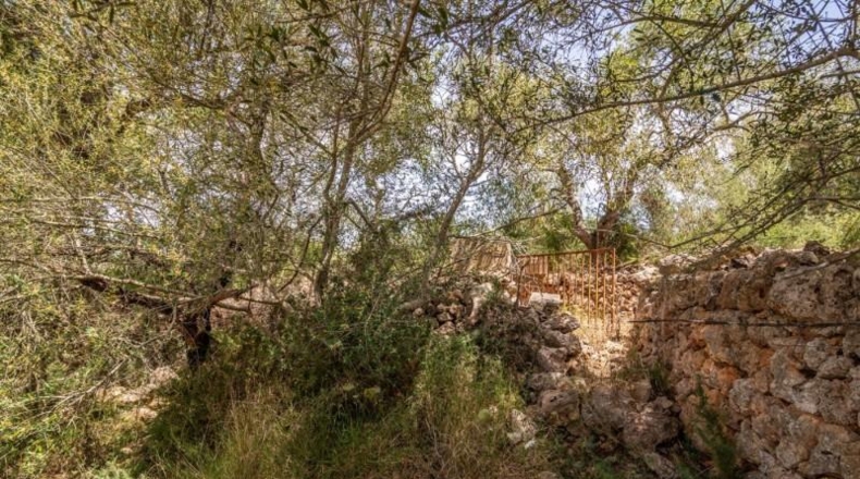 Illes Balears - Costitx - 61906m2