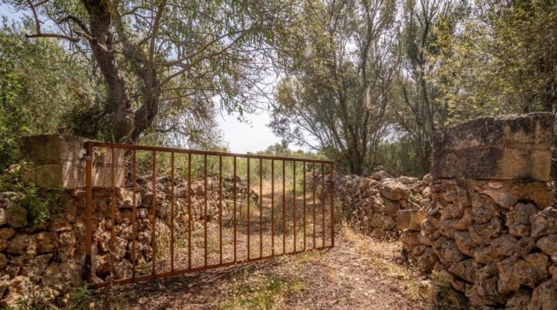Illes Balears - Costitx - 61906m2