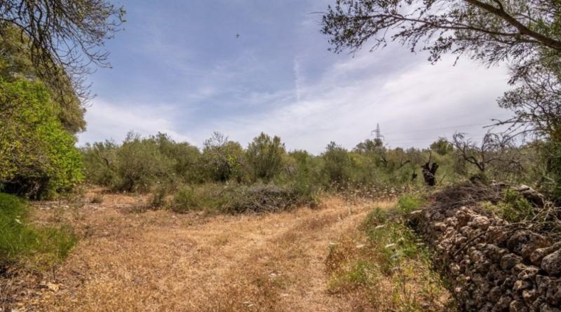 Illes Balears - Costitx - 61906m2