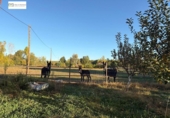 Finca rústica en venda a la España, San Andrés del Rabanedo, ref.: TR359175 foto