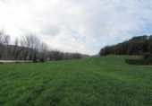 Land suitable for development for sale on España, Santa Maria de Palautordera, ref: TR145303 photo