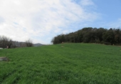Land suitable for development for sale on España, Santa Maria de Palautordera, ref: TR145303 photo
