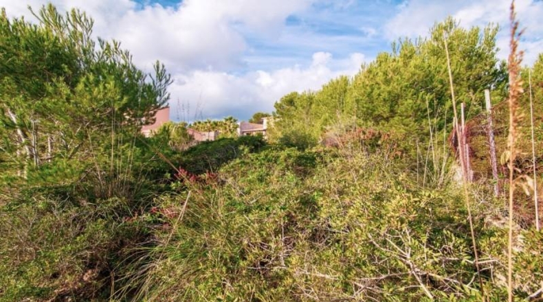 Balearic Islands - Capdepera - 1230m2