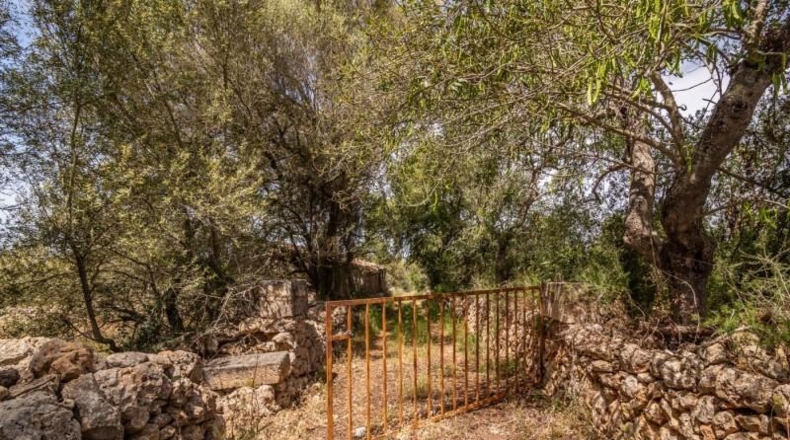 Islas Baleares - Costitx - 61906m2