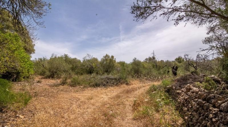 Islas Baleares - Costitx - 61906m2