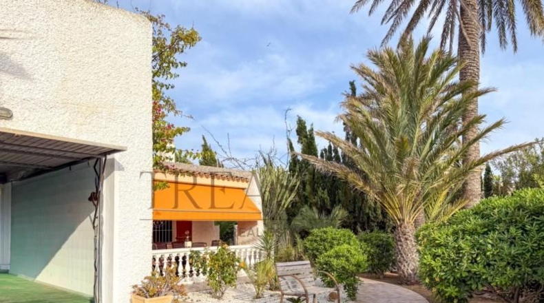 Murcia - San Javier - 678m2