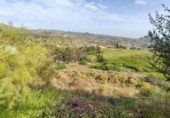 Casa de campo con terreno en venta en la España, Almogía, ref: TR408748 foto