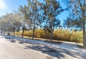 Suelo urbano en venta en la España, Motril, ref: TR310249 foto