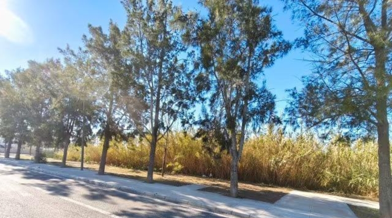 Granada - Motril - 350m2