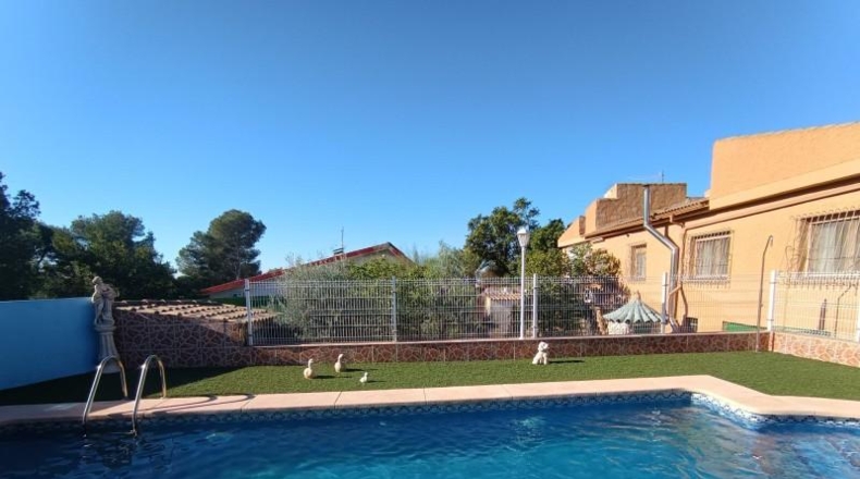 Murcia - Molina de Segura - 840m2