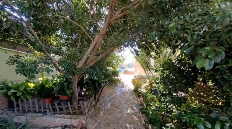 Murcia - Molina de Segura - 840m2