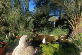 Foto 14